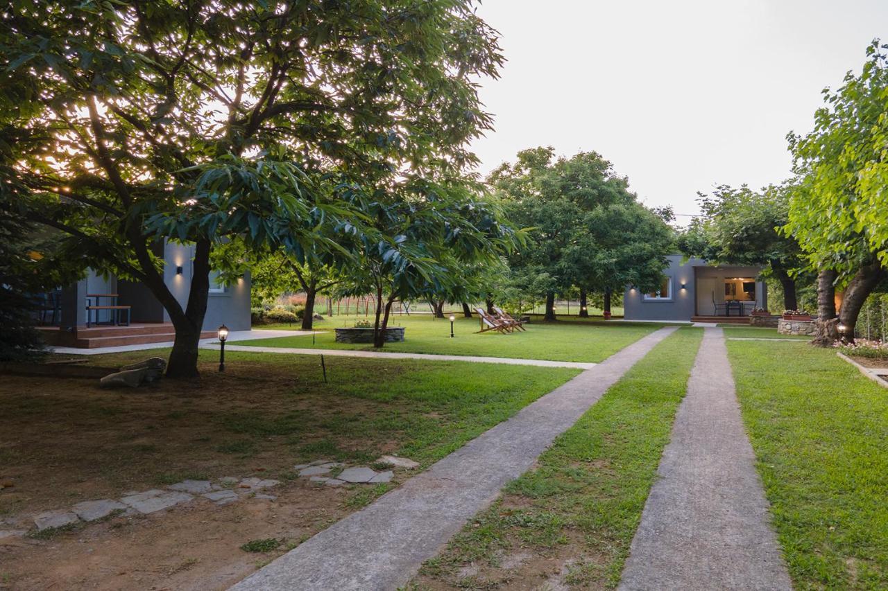 Elena Luxury Living Daire Paralía Skotínis Dış mekan fotoğraf